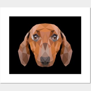 Dachshund Posters and Art